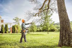 Best Lawn Disease Treatment  in Hargill, TX