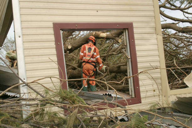 Best Tree and Shrub Care  in Hargill, TX